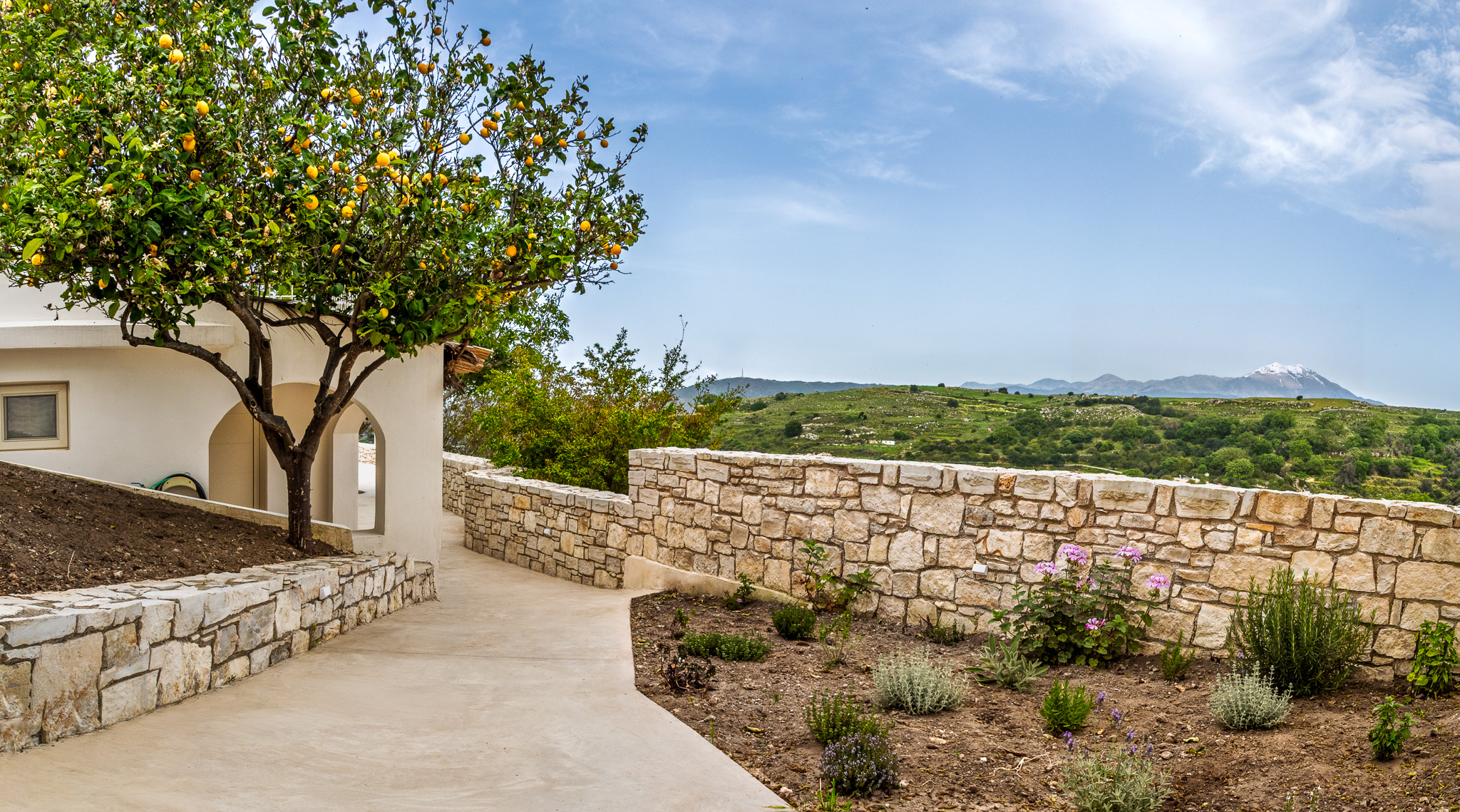 Stone wall, orange trees, and mountain view from Nogal Retreat
