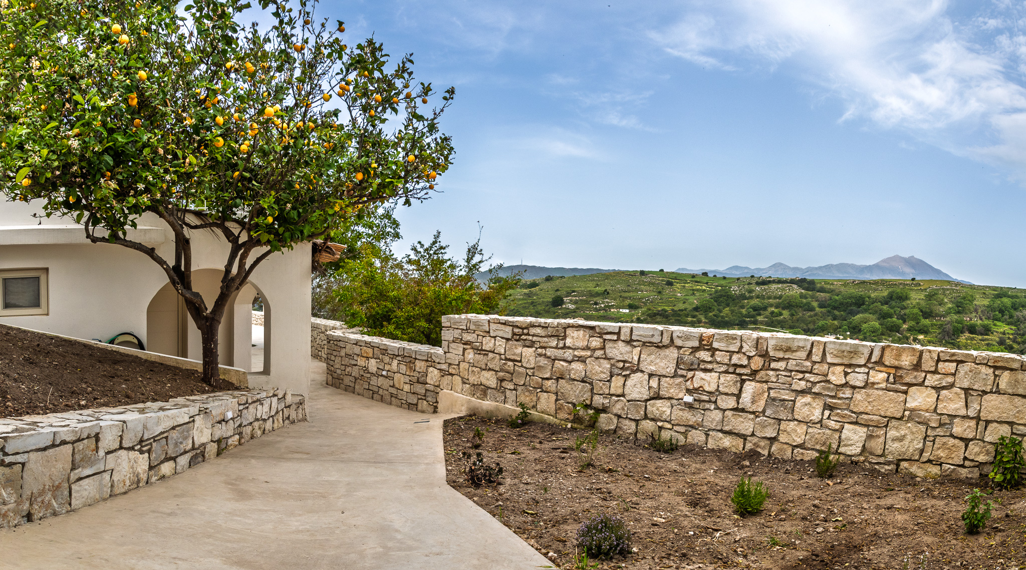 Whole-house exterior with the pool, garden, terrace, and hillside at Nogal Retreat
